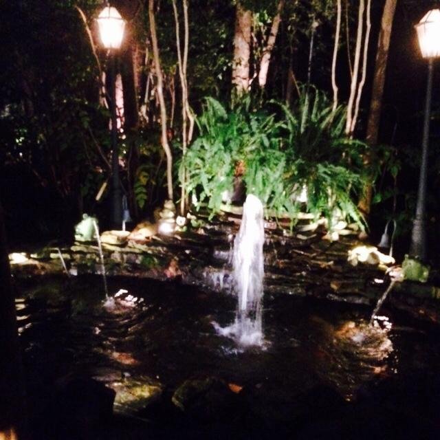 King pond at night