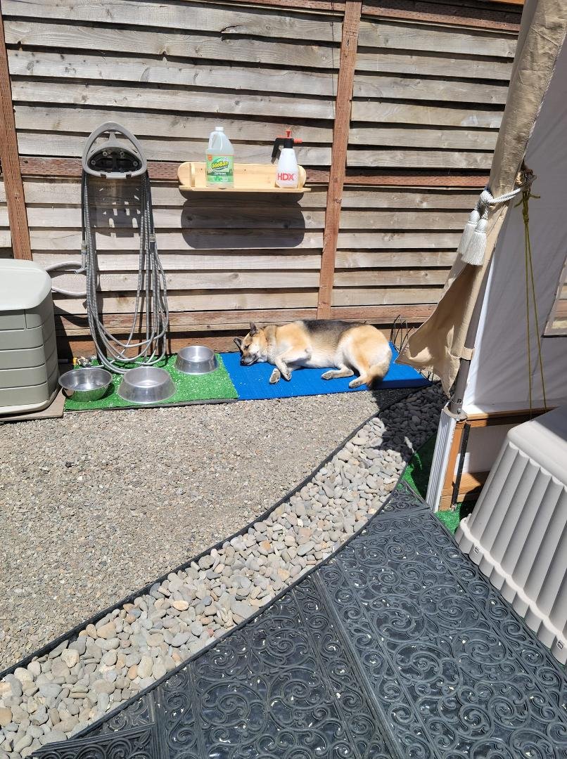 Taking a quick sauna then it's off to hair and nails this afternoon and then the disco goes Saturday night it's a dog's life here in Happy Valley !