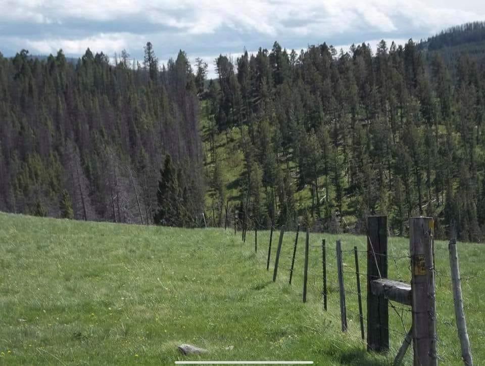What side of fence are on - time to decide ???