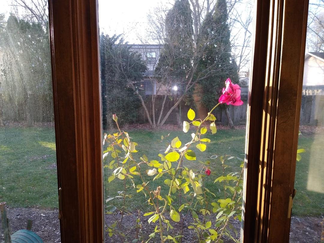 Ellen DeVries Diener's album, Timeline photos