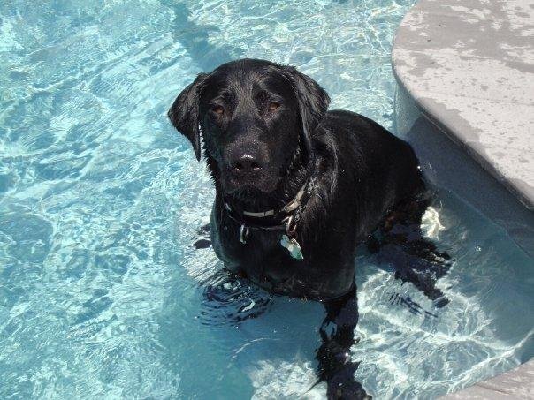 Tee first summer in the pool 2008