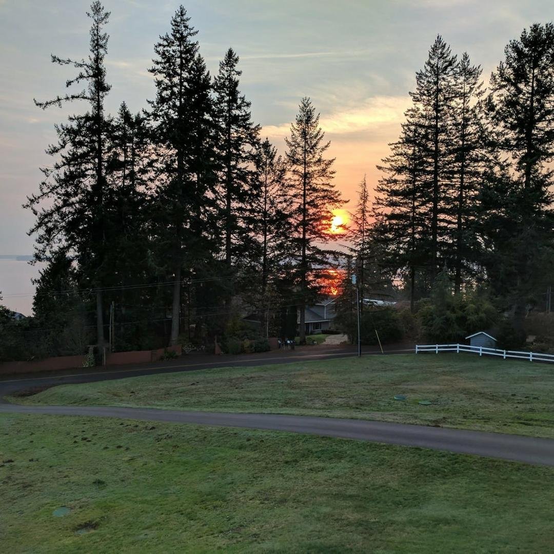 Sunset over Case Inlet today.