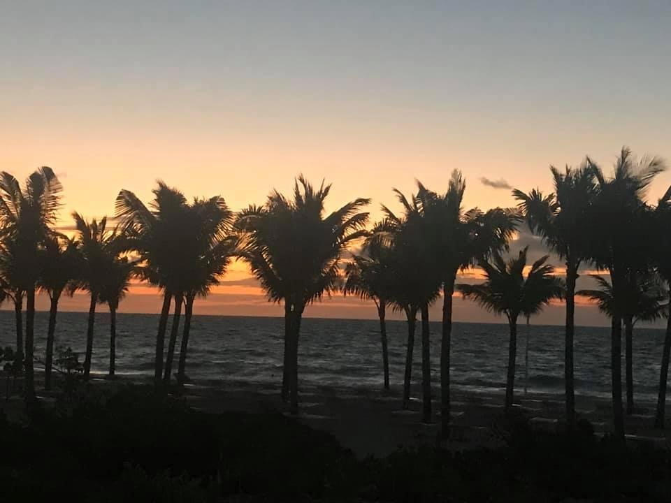 I ask those who love the sea to join the challenge to publish a picture of a beach. Just a picture, no description. The goal is to flood FB with positive photos instead of negative. Copy the text, attach a picture and see b