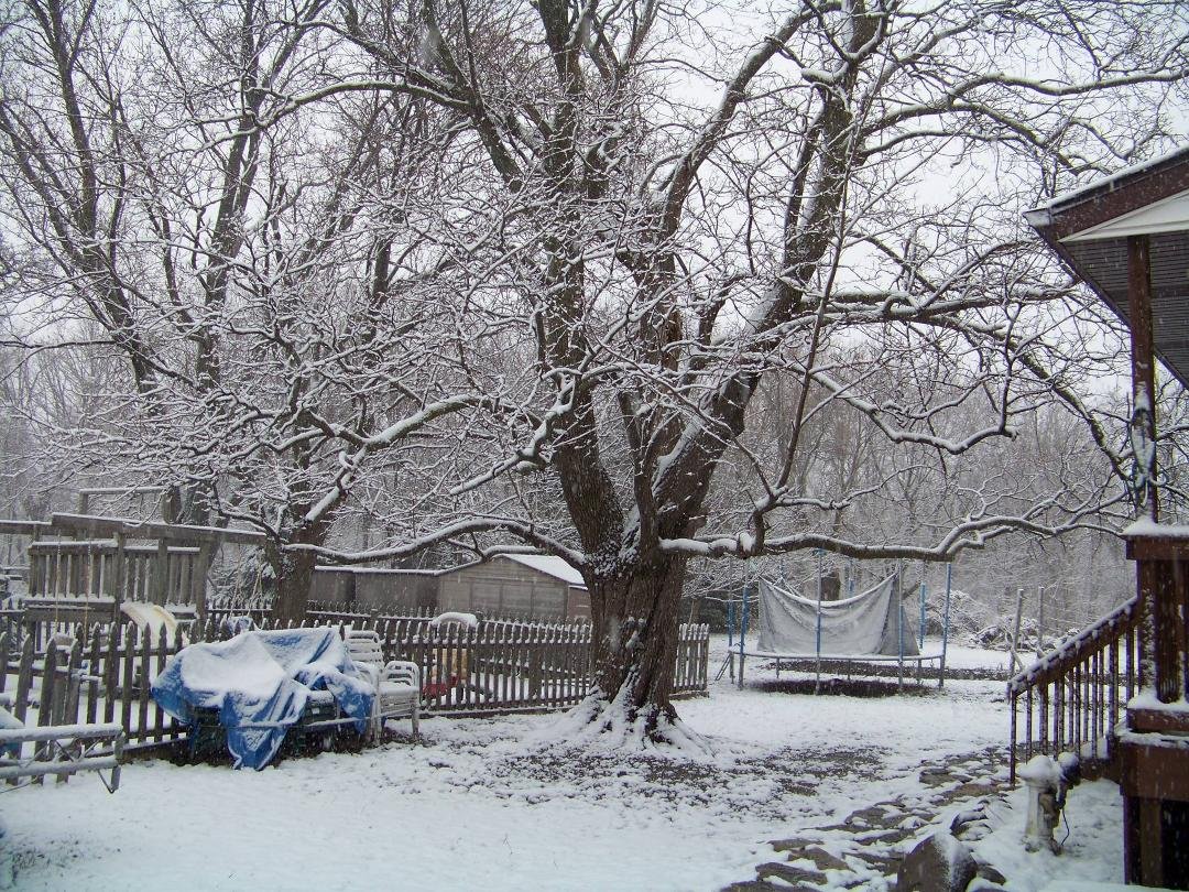 Ruth Aldrich's album, Timeline Photos