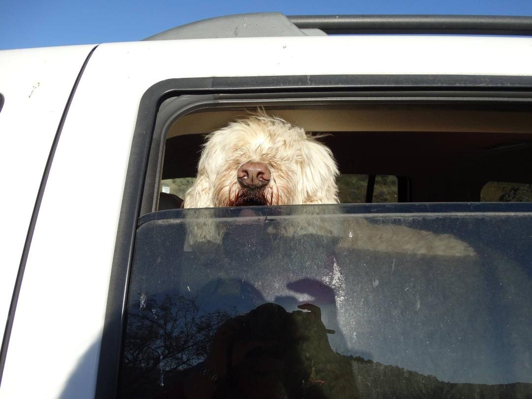 Dad James Blake has landed and is here! Not too hot tonight- planning to go out for some dinner once Erika Blake gets home. My SUV is in the shop- the nice guys at Allstate Transmissions here in Mesa are putting in a new us