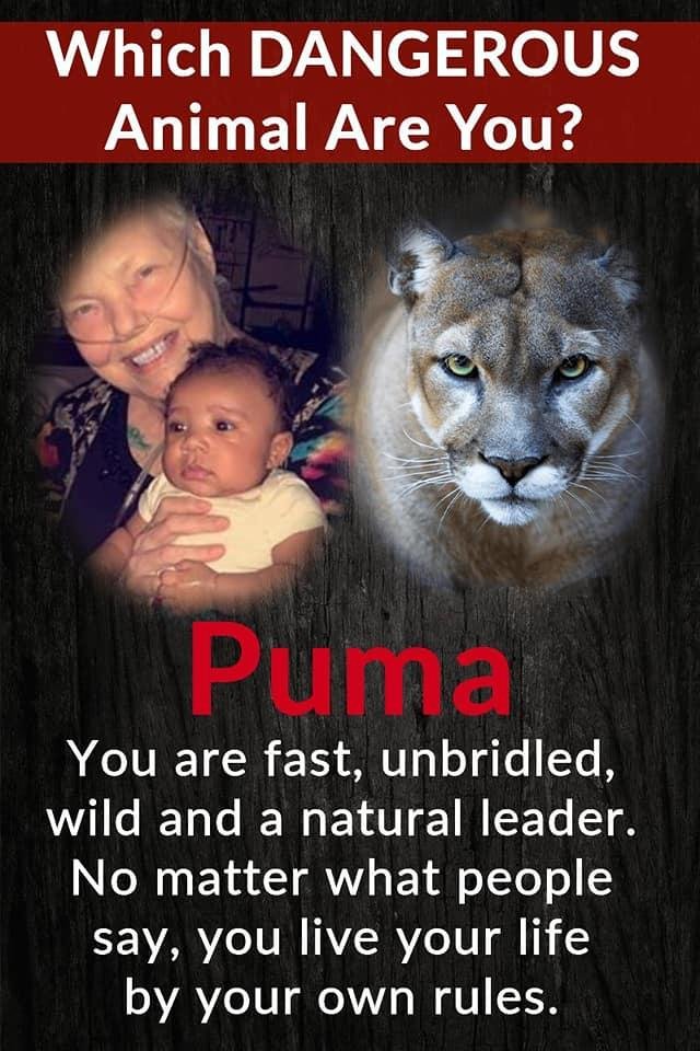 Marsha Shortland's album, Timeline Photos