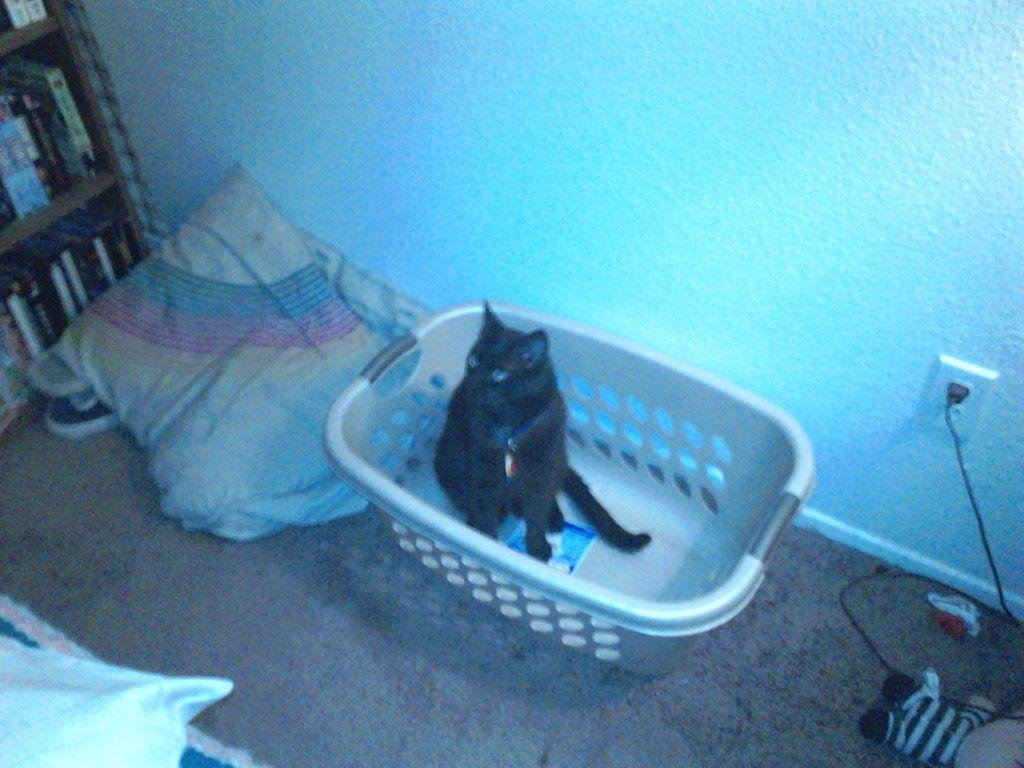 Ready for my bath