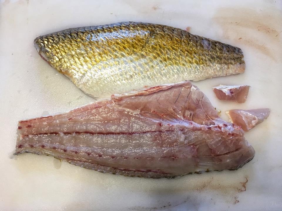 Fresh Redfish, it's what's for supper😊