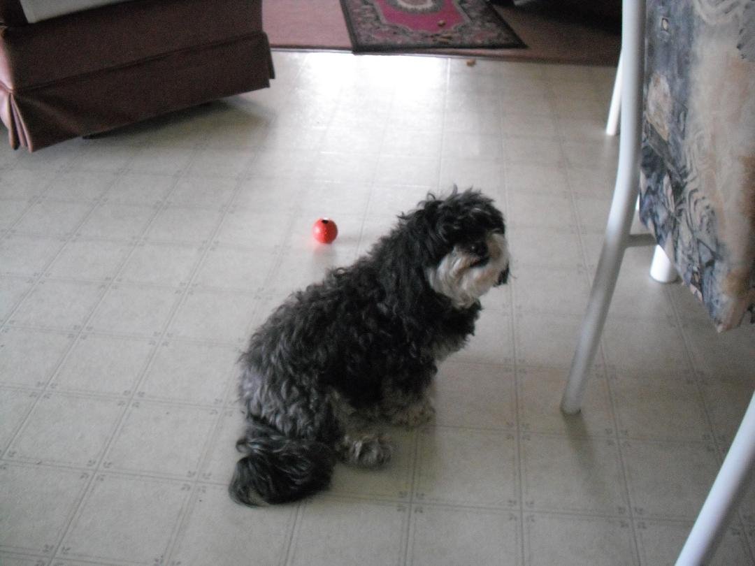 My lil' friend Susie Q