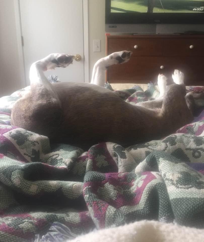 I hope she can get comfortable 🐾❤️