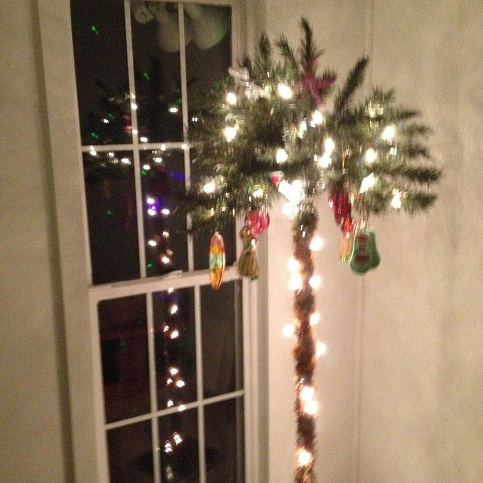 Christmas tree at the Beach.70 degree's today.