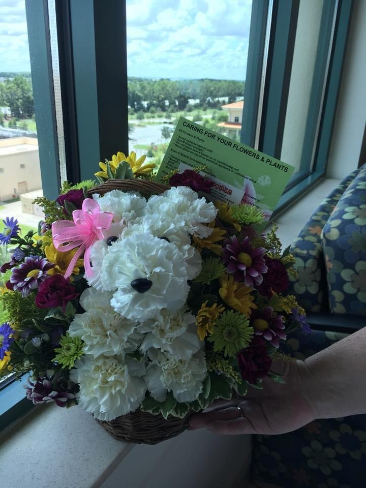 Thanks to all my friends from work for the beautiful birthday/get well flowers. Love that little dog . Love you guys!