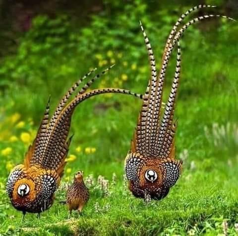 Ralph Plummer's album, Timeline photos