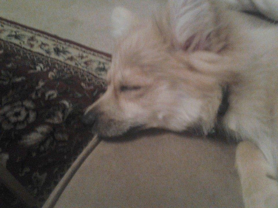 And this is Cooper.