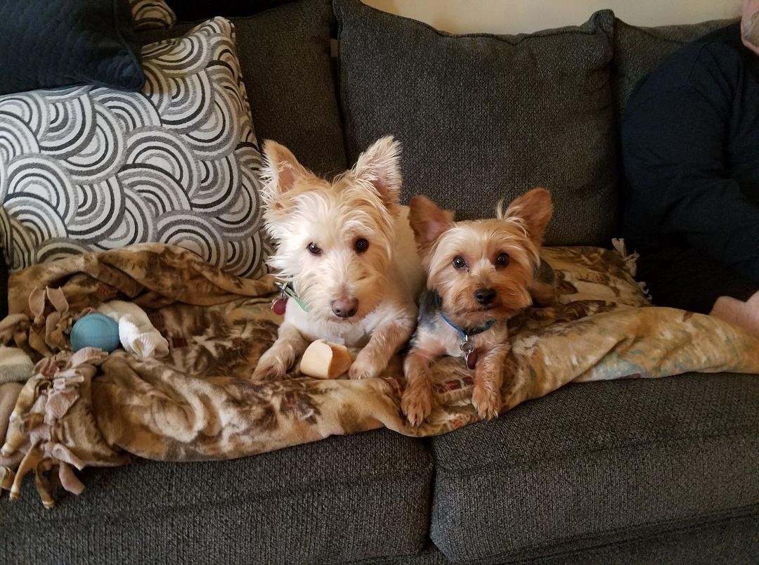 Got them together for a pic. 😀😆