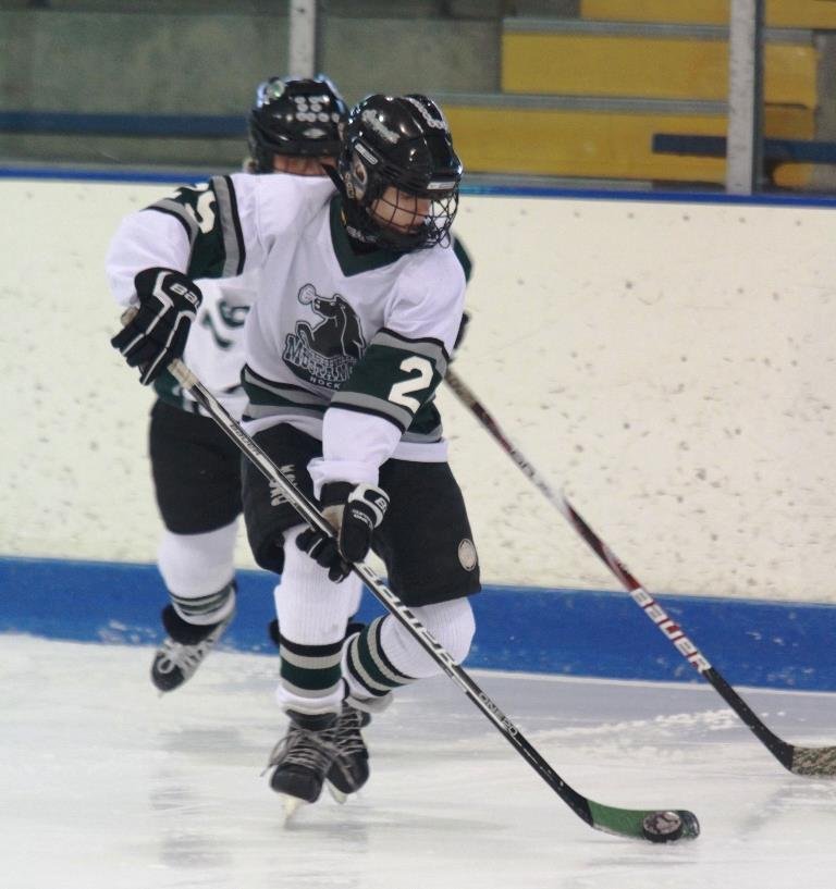 A couple pics of the boys at a Pittsburgh hockey tournament over the weekend!! A great time was had by all!!