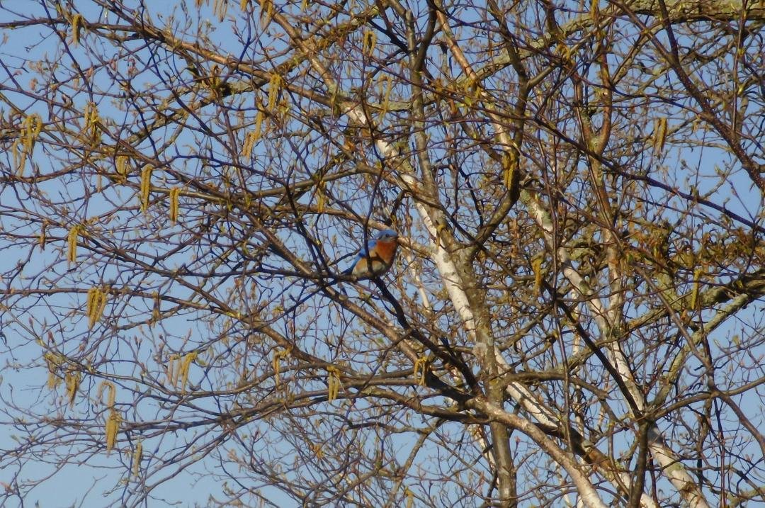 Mr B is watching me!