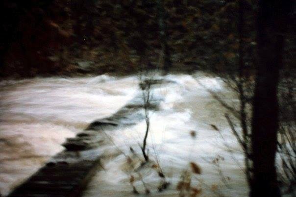 We built our house on the opposite side of the creek (so it would be south-facing) and this is The first foot bridge. It was a scant 2' wide and a foot above the creek w/o rain. Obviously this bridge had it's limitations.