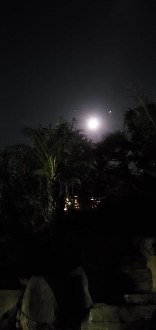 Anyone know what these dots are around the moon?  They stayed just like this as Ron and I sat out in our new backyard last night