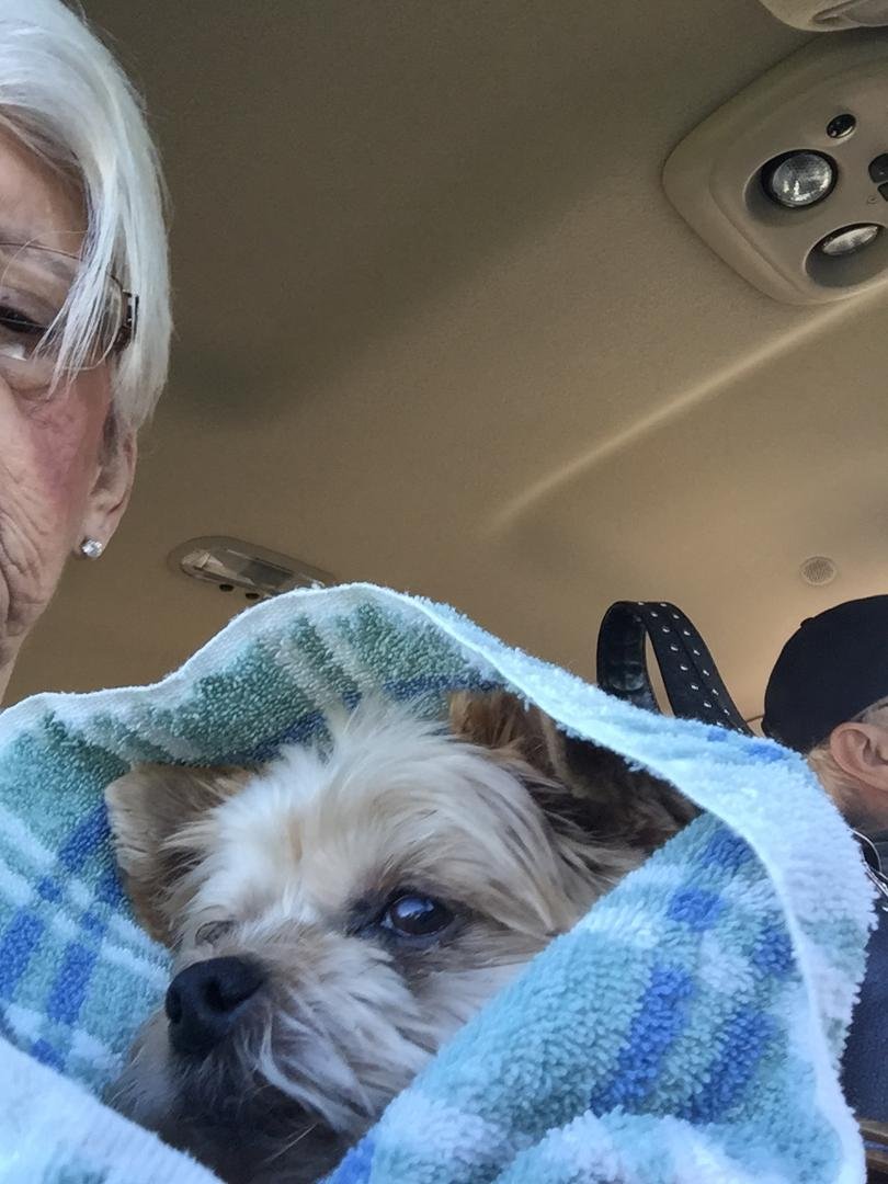 Winston doesn't do well in the cold....I put a towel in the dryer and get it hot, then wrap him up before taking him out!