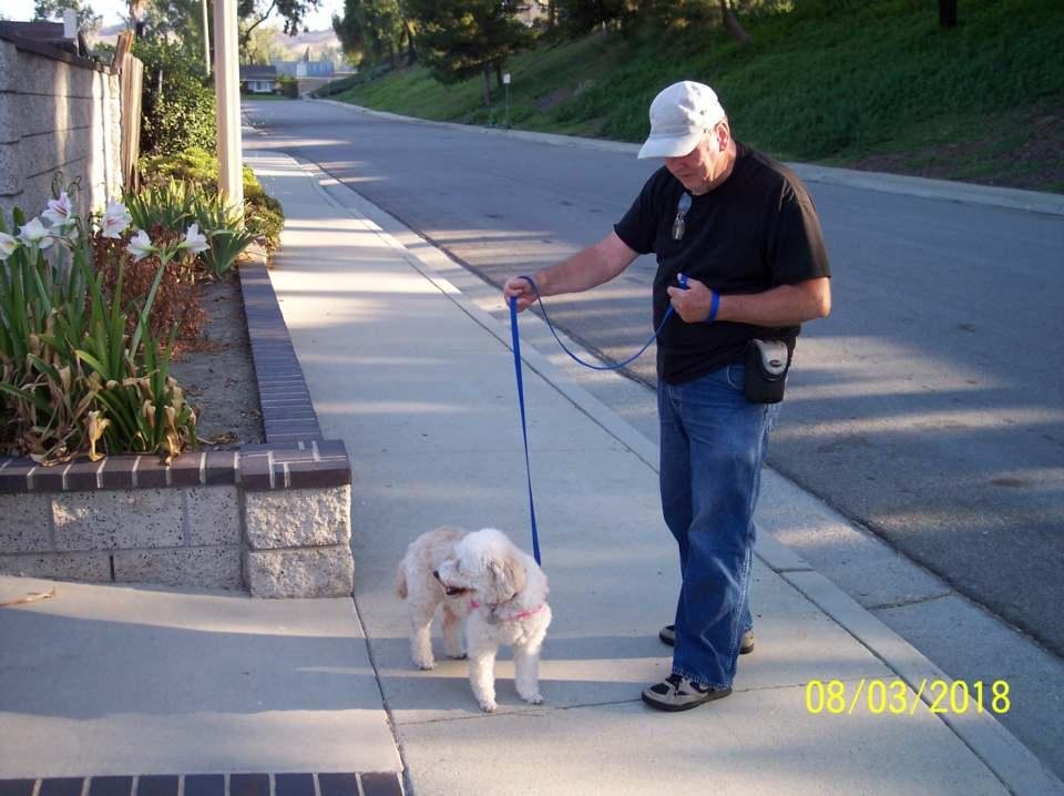 Larry Harrison's album, Mobile Uploads
