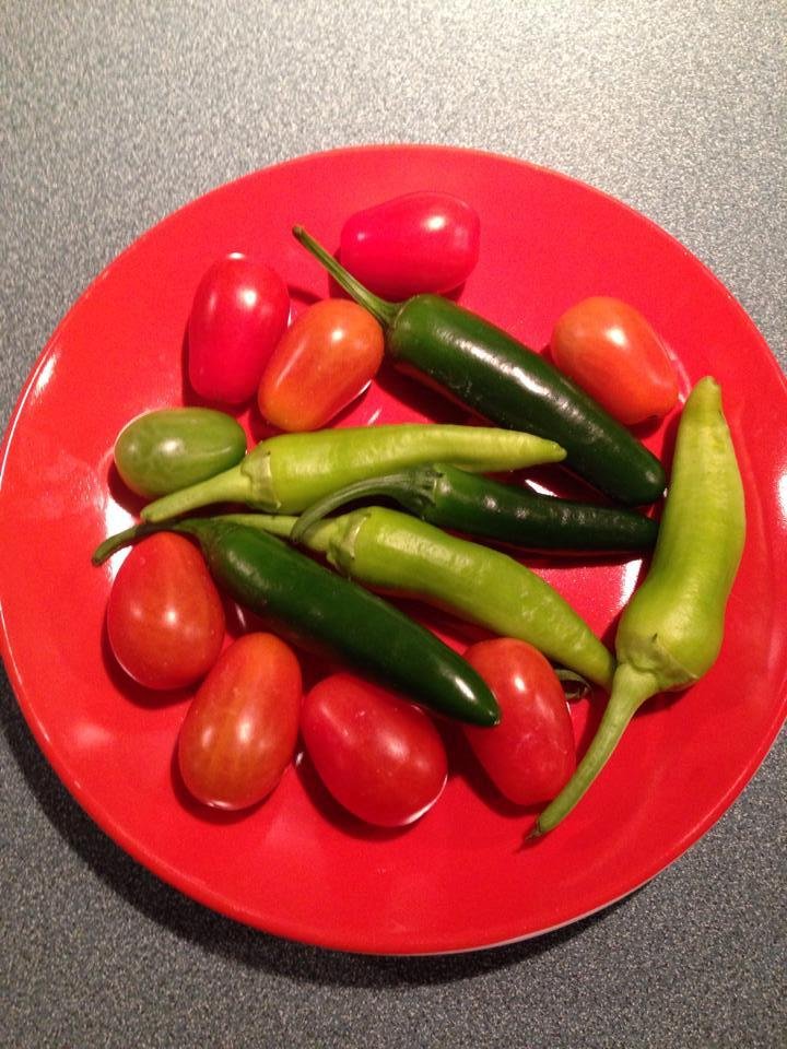 Wednesday's Bounty