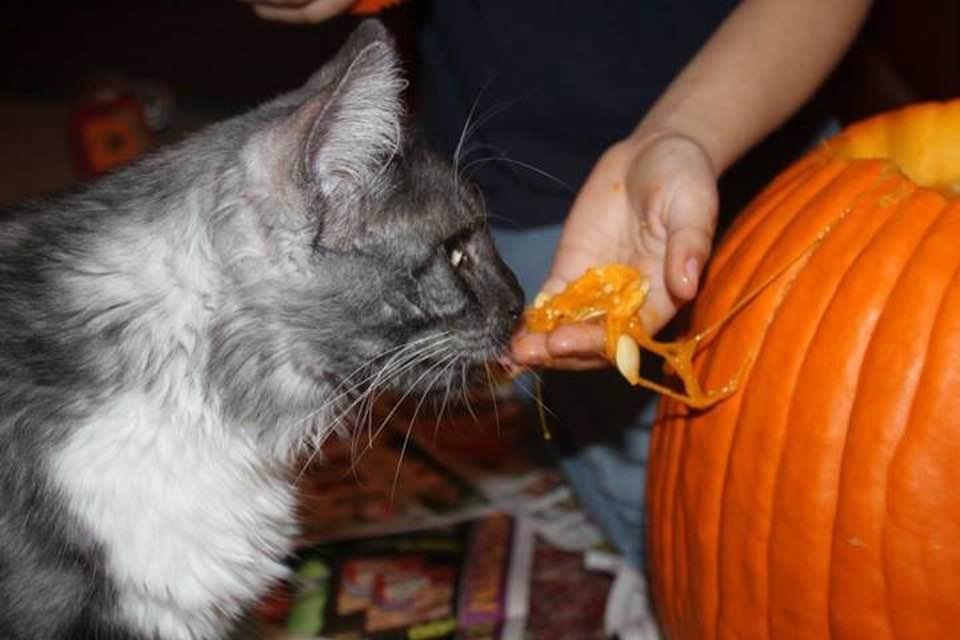 Arietta McGowan's album, Timeline photos