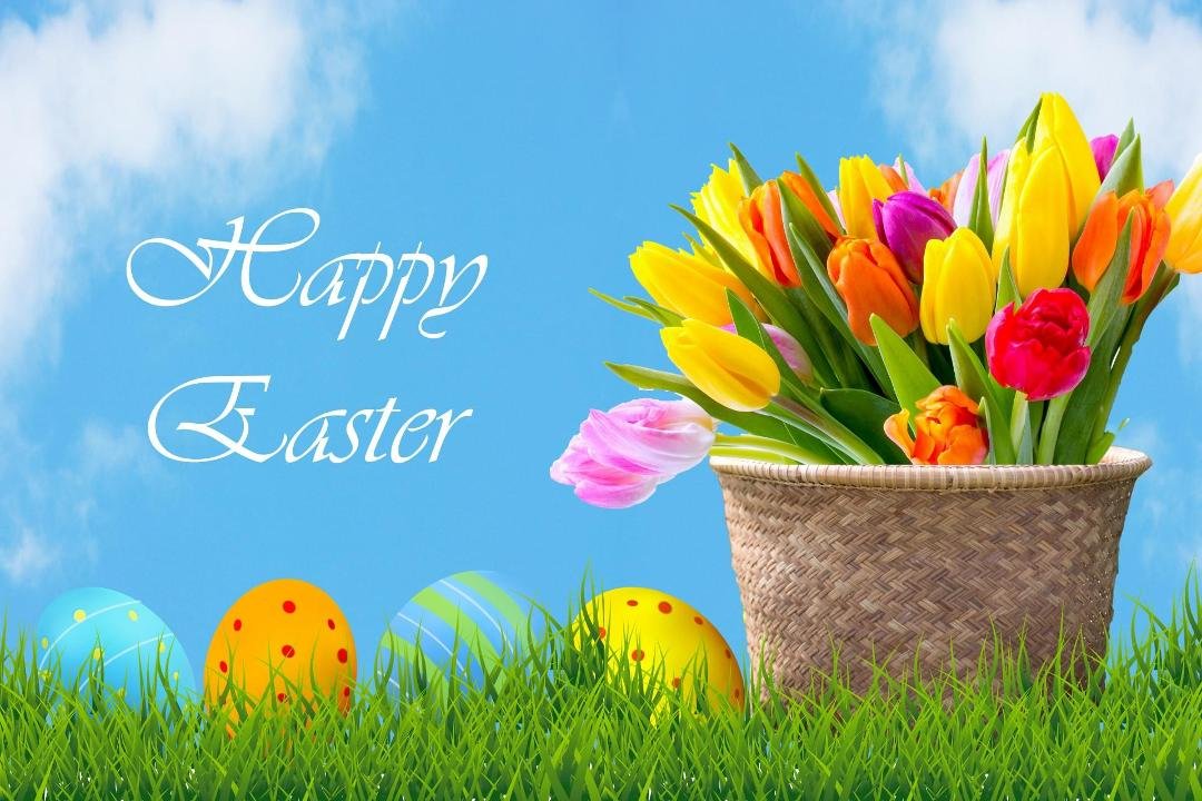 Gail D Holman's album, Timeline Photos