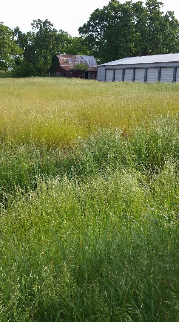 Old storage meets new storage. This is in Monett, MO. So green up here.