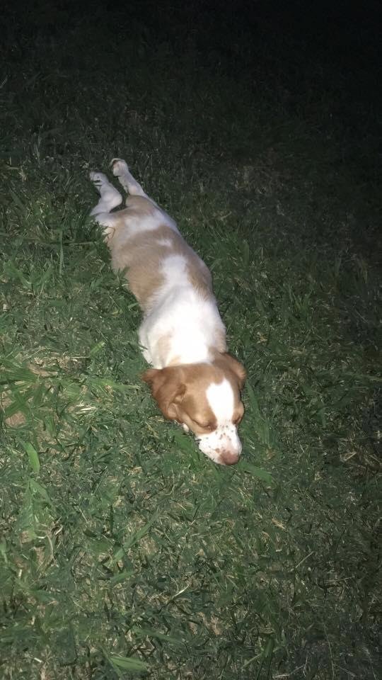 He's done