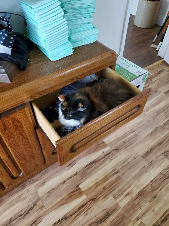 Patches in her happy place