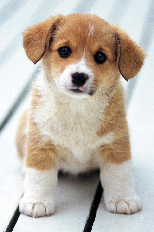 Such a cute pic