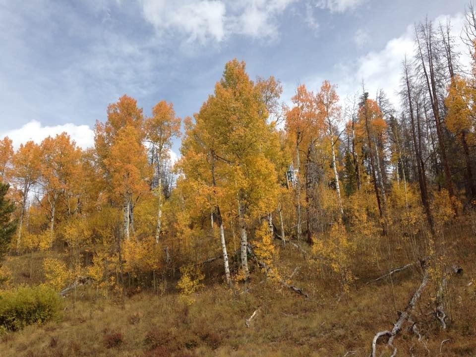 Catherine Samuelson's album, Timeline Photos