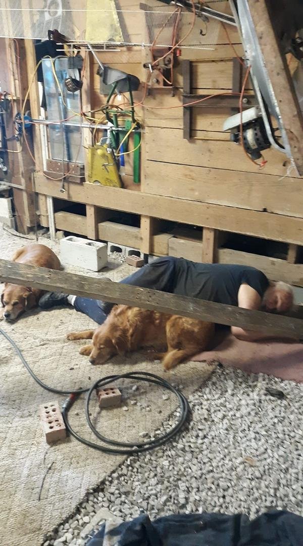 Carol found me. Working in the garage