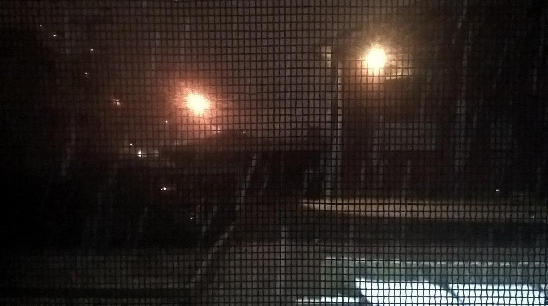 those white streaks would be super sized snow flakes, been snowing about an hour, ground is covered, sidewalks and streets are wet...and it is just getting started