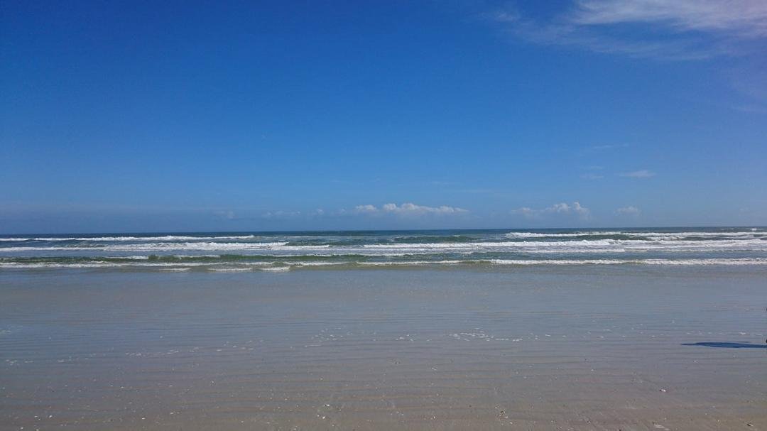 Morning walk.