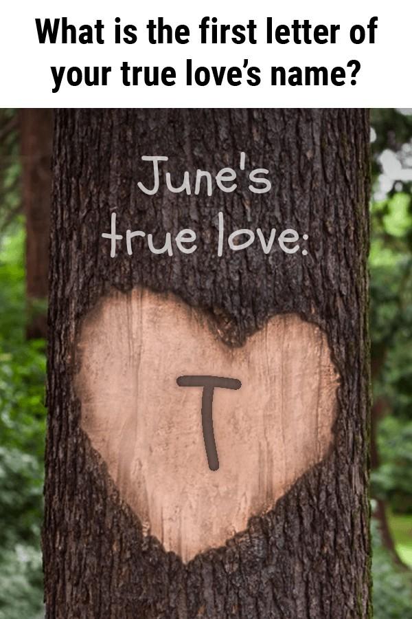 June Taylor's album, Timeline photos