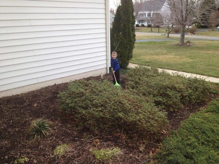 Getting the garden ready for spring.