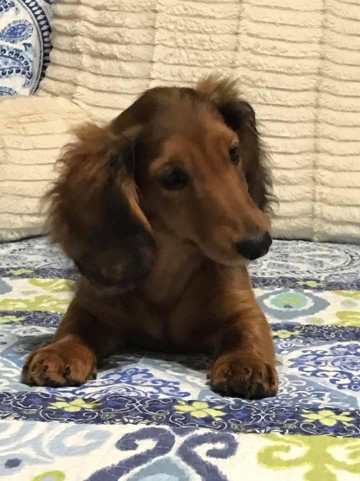 Are you talkin' to me?