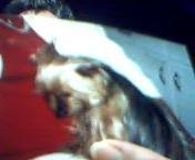 I have seen this sad expression so many times when I was leaving her.