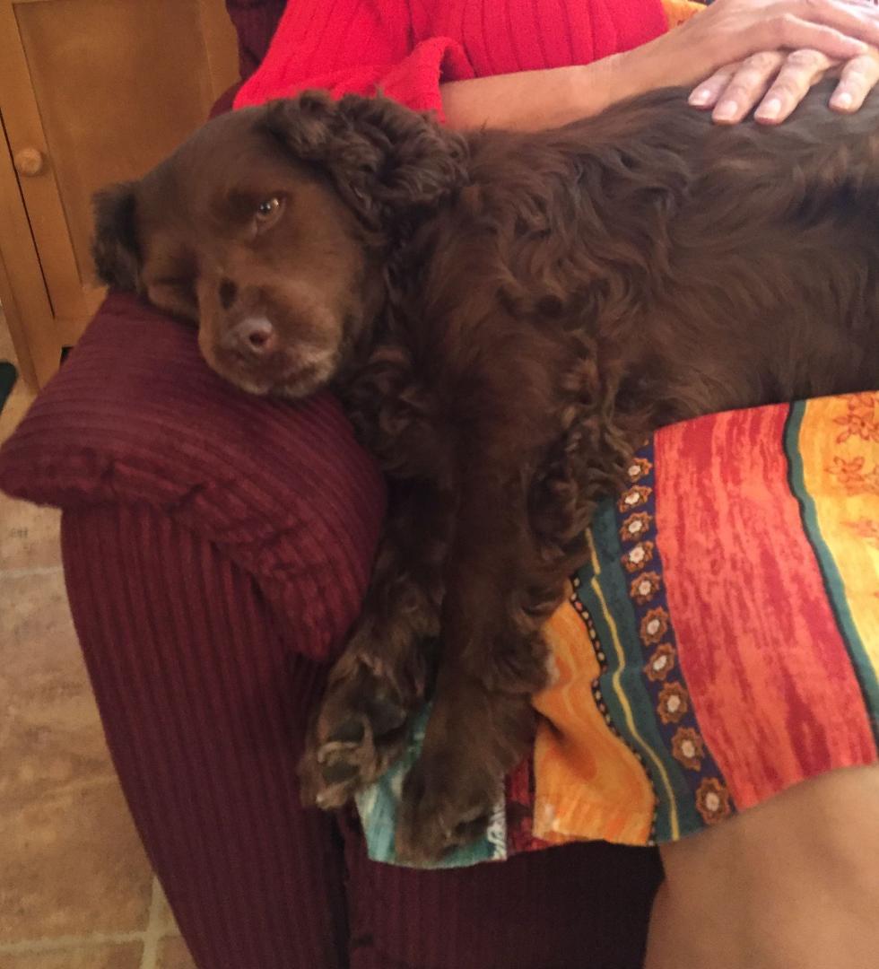 Karl here: I was just thinking about a New Years resolution. Lose weight? Nah. Read more . . . Maybe. Work more--NO! Play more? Sure. Perhaps my best resolution is to wish more: that everyone knows they are loved and precio