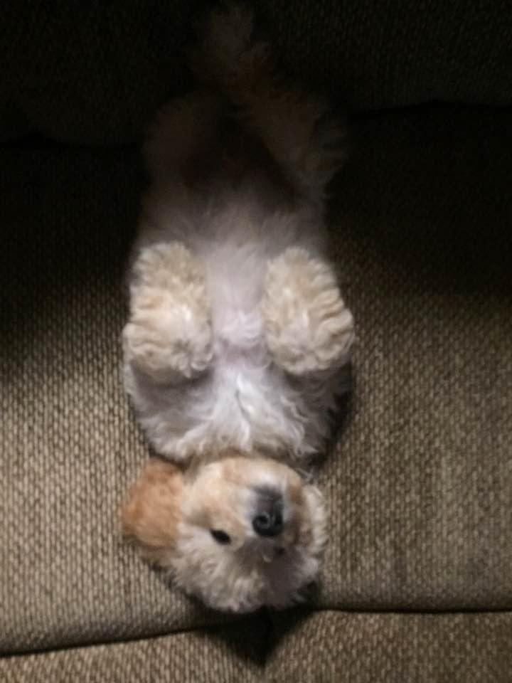 Bedtime