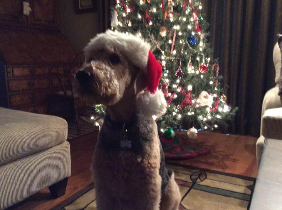 Waiting in the cold for Santa.