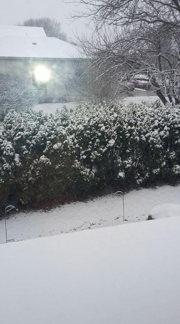 Dam snow