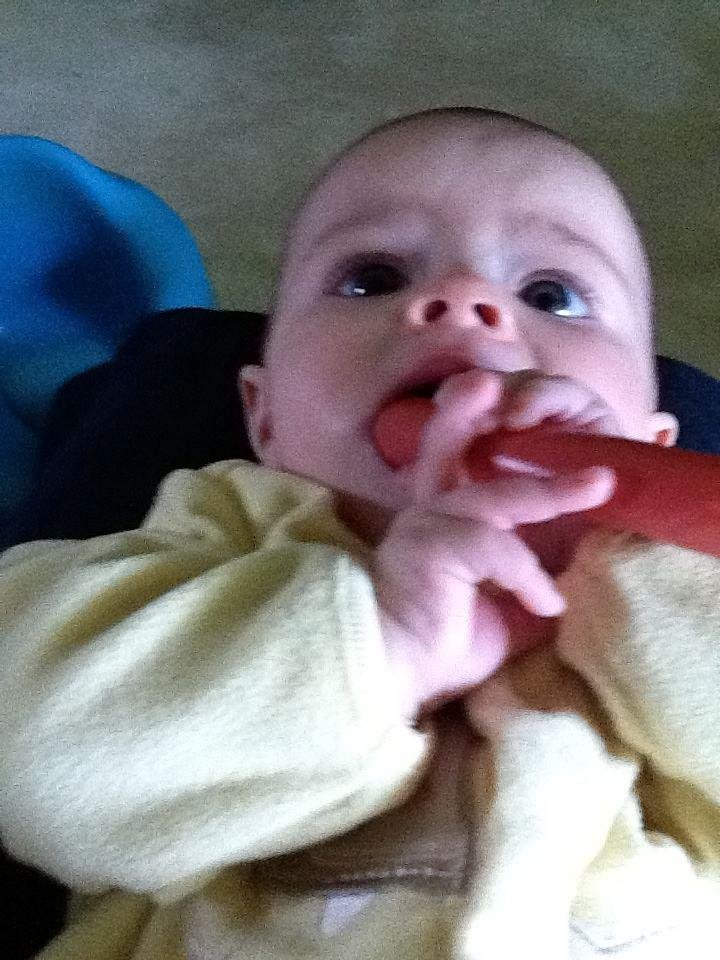 Lily chewing on a plastic hot dog.
