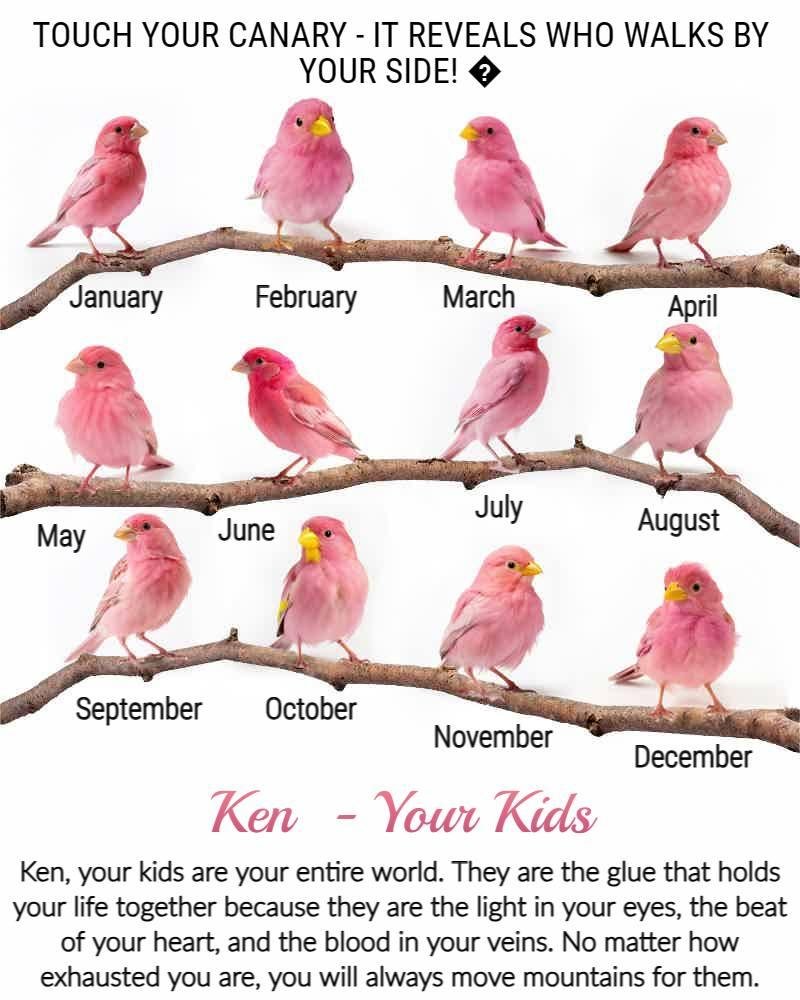 Kenny Johnson's album, Timeline photos