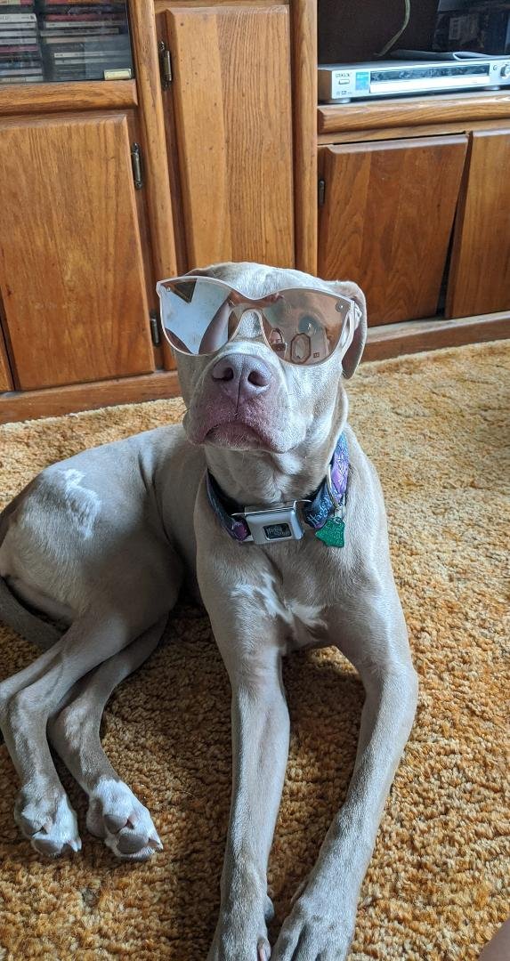 Here's our girl Sky