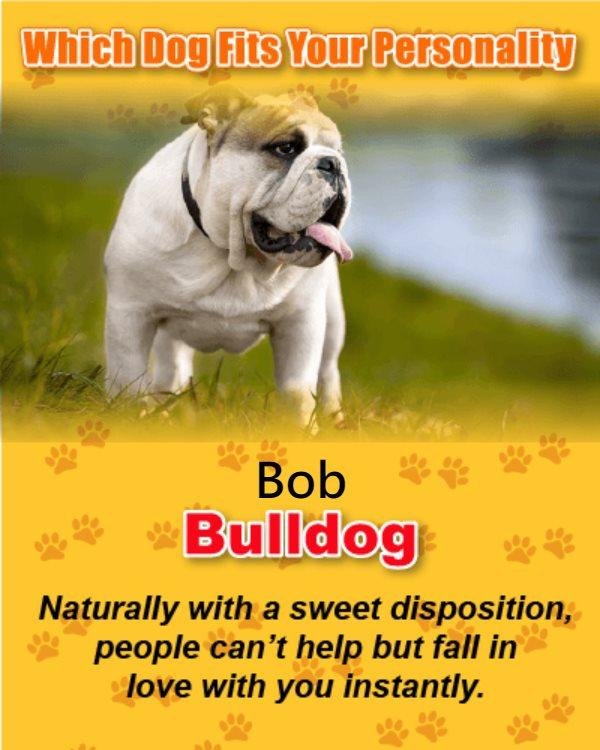 Bob Grace's album, Timeline Photos