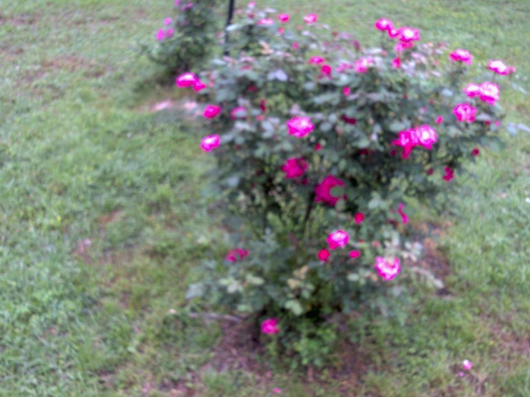 Peter Schwab's album, Timeline Photos