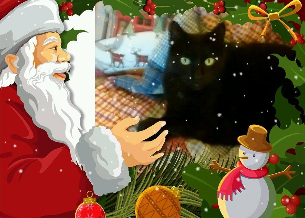 Sam is telling Santa what he wants for Christmas